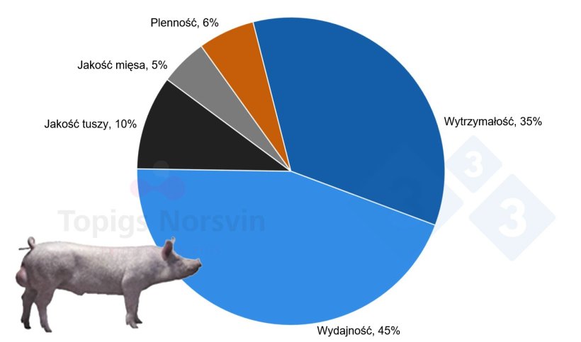Wykres 3. Cele selekcji dla TN Tempo.
