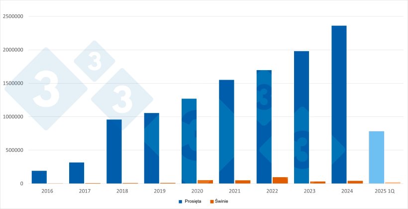 Roczny hiszpański import holenderskich prosiąt i świń. Dane za pierwszy kwartał 2025 r. Źr&oacute;dło: 333 na podstawie danych RVO.
