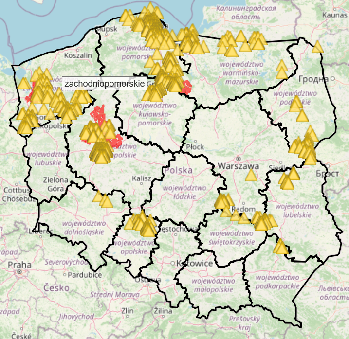 Przypadki ASF u dzik&oacute;w od stycznia do końca kwietnia 2025r.