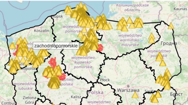 Przypadki ASF u dzików od stycznia do końca kwietnia 2025r.