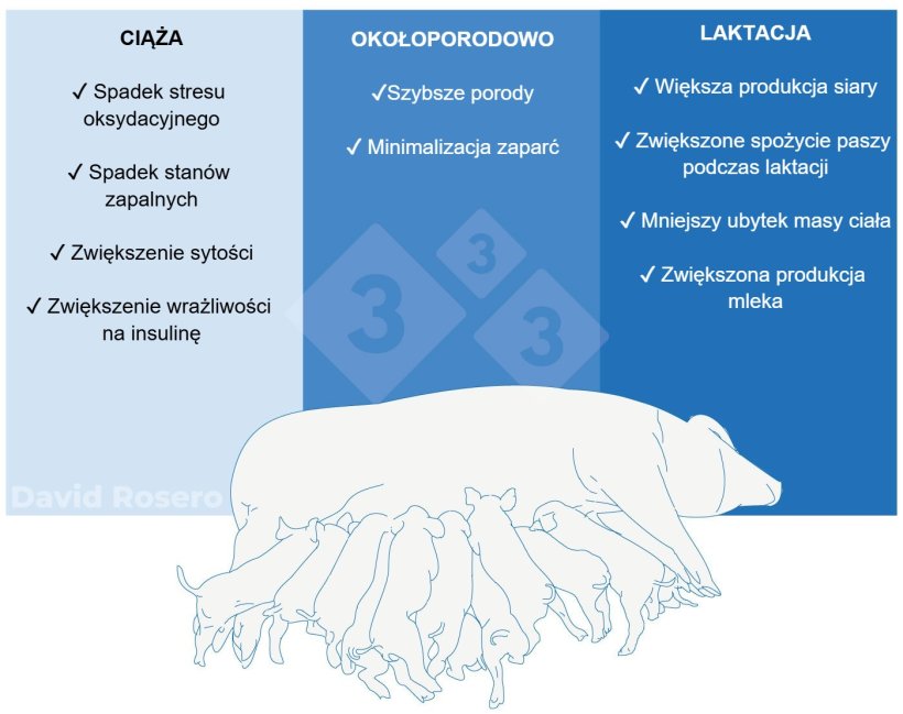 Ryc. 1.&nbsp;Wpływ błonnika jako elementu wspomagającego żywienie loch

