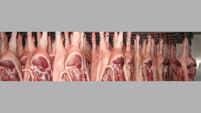 Swine abattoir