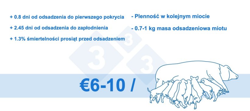 Rysunek 4. Szacowana strata ekonomiczna na lochę (dane wewnętrzne)
