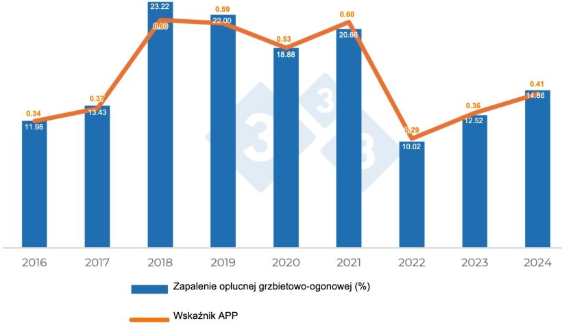 Wykres 2. Ewolucja zmian chorobowych zgodnych z Actinobacillus pleuropneumoniae.
