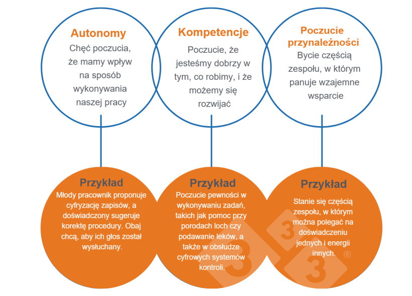 Rysunek 1. Uniwersalne potrzeby, kt&oacute;re dzielimy (Deci i Ryan, 2000).
