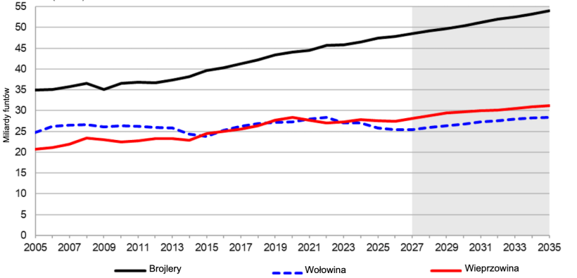 Produkcja produkt&oacute;w pochodzenia zwierzęcego w USA, 2005&ndash;2035. Źr&oacute;dło: USDA.
