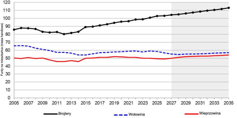 Spożycie mięsa na mieszkańca w USA, 2005&ndash;2035. Źr&oacute;dło: USDA.

