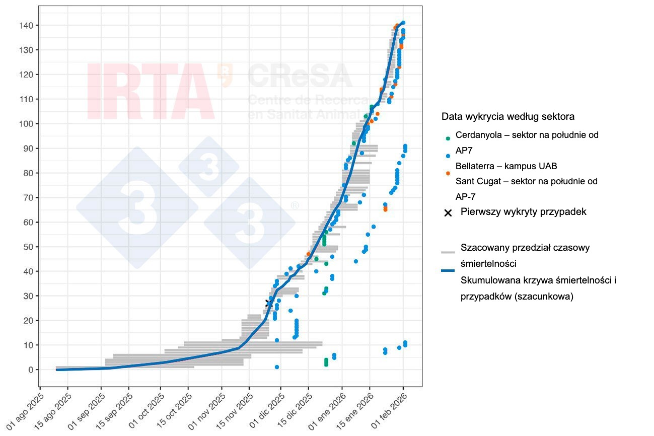 <p>Rysunek 2. Rekonstrukcja czasowa śmiertelności i przypadków ASF u dzików podczas ogniska w Collserola. Szare poziome linie przedstawiają szacowane przedziały czasowe śmiertelności dla każdego zwierzęcia. Punkty wskazują datę wykrycia tuszy lub chorego zwierzęcia. Kolor każdego punktu identyfikuje sektor geograficzny, w którym znaleziono tuszę (zielony – sektor Cerdanyola na południe od AP7; niebieski – sektor Bellaterra–kampus UAB; pomarańczowy – sektor Sant Cugat na południe od AP7). Krzyżyk oznacza pierwszy wykryty przypadek. Niebieska linia przedstawia skumulowaną krzywą śmiertelności i przypadków ASF.</p>