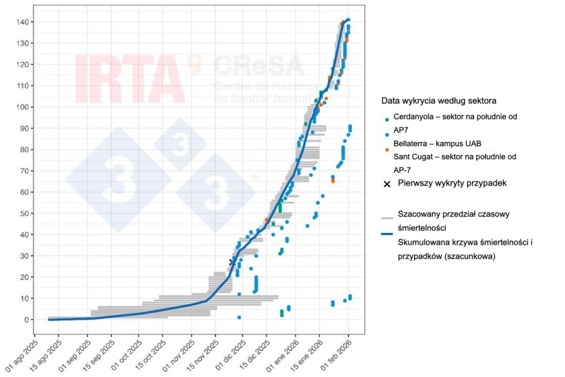 Rysunek 2. Rekonstrukcja czasowa śmiertelności i przypadków ASF u dzików podczas ogniska w Collserola. Szare poziome linie przedstawiają szacowane przedziały czasowe śmiertelności dla każdego zwierzęcia. Punkty wskazują datę wykrycia tuszy lub chorego zwierzęcia. Kolor każdego punktu identyfikuje sektor geograficzny, w którym znaleziono tuszę (zielony – sektor Cerdanyola na południe od AP7; niebieski – sektor Bellaterra–kampus UAB; pomarańczowy – sektor Sant Cugat na południe od AP7). Krzyżyk oznacza pierwszy wykryty przypadek. Niebieska linia przedstawia skumulowaną krzywą śmiertelności i przypadków ASF.