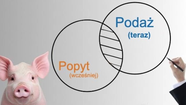 Producenci trzody chlewnej i ich klienci
