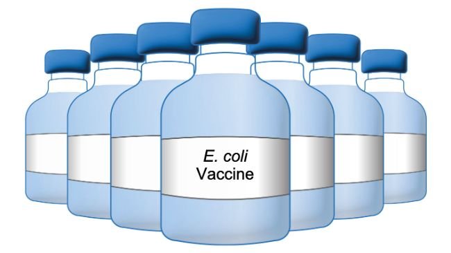 Szczepionka przeciwko E. coli.