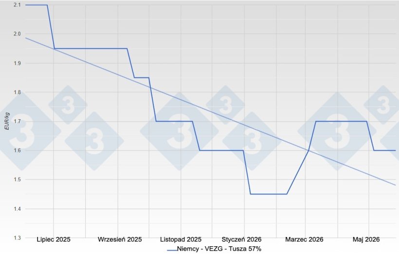 Cena tucznik&oacute;w w Niemczech &ndash; VEZG &ndash; tusza o mięsności 57%
