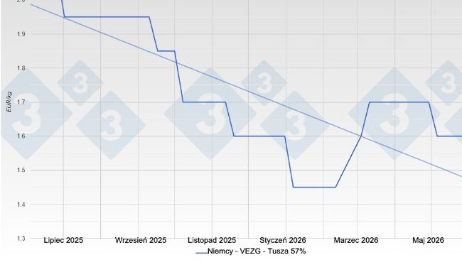 Cena tucznik&oacute;w w Niemczech &ndash; VEZG &ndash; tusza o mięsności 57%
