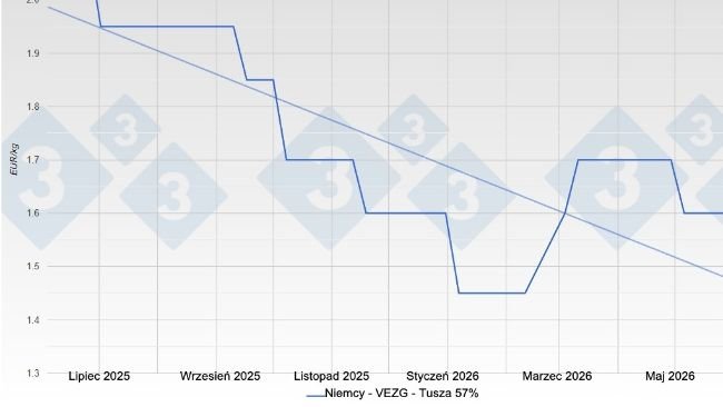 Cena tuczników w Niemczech – VEZG – tusza o mięsności 57%
