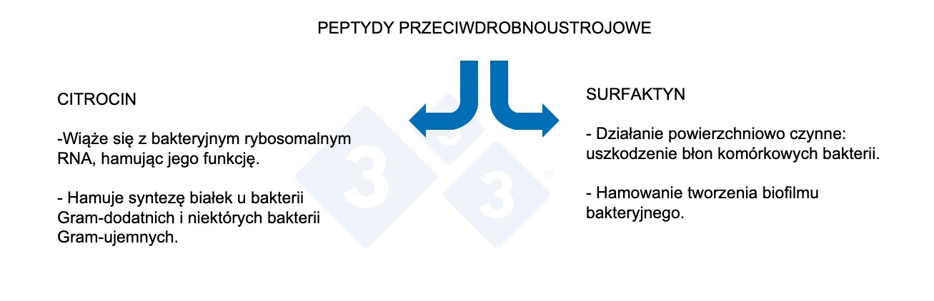 <p>Ryc. 3. Właściwości peptydów przeciwdrobnoustrojowych.</p>