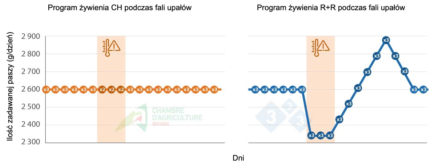 <p>Przykład programu żywienia podczas fali upałów. Źródło: CAB.</p>
