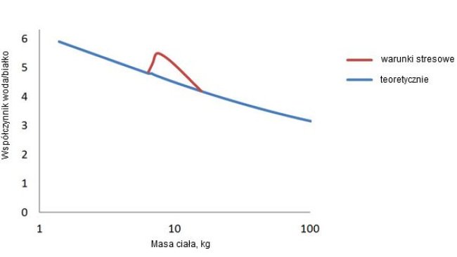 Water/protein ratio in swine from birth to finish and the deviation that occurs following weaning