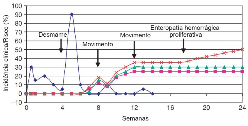 Epidemiolog&iacute;a de las enfermedades bacterianas digestivas