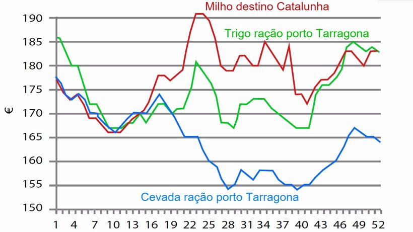 Gr&aacute;fico 1. Evolu&ccedil;&atilde;o&nbsp;semanal do&nbsp;pre&ccedil;o do&nbsp;trigo, do milho e da cevada em&nbsp;2016. Fonte: Lonja de Barcelona.
