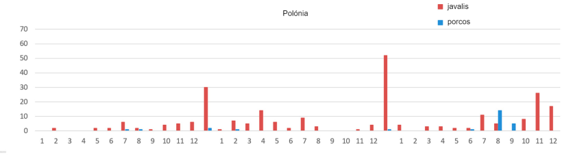 Evolu&ccedil;&atilde;o mensal dos focos da PSA na Pol&oacute;nia
