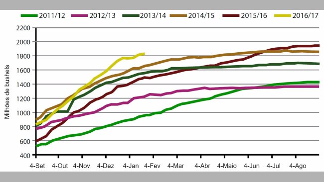 Gráfico 1. Volume semanal de exportações de grão de soja EUA, campanha actual e cinco anteriores. Fonte: USDA.
