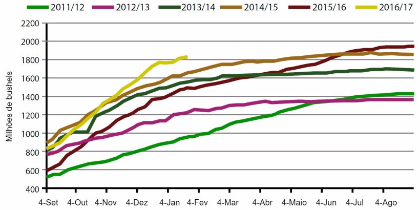Gráfico 1. Volume semanal de exportações de grão de soja EUA, campanha actual e cinco anteriores. Fonte: USDA.