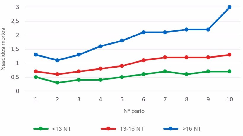 Gr&aacute;fico&nbsp;3: M&eacute;dia de leit&otilde;es nascidos mortos segundo a ordem&nbsp;de parto para as ninhadas de menos de 13, entre 13 e&nbsp;16 ou mais de 16 leit&otilde;es nascidos totais (NT). A an&aacute;lise baseia-se em 93.896 partos de porcas hiperprol&iacute;ficas que ocorreram entre Outubro de 2014 e Setembro de 2016
