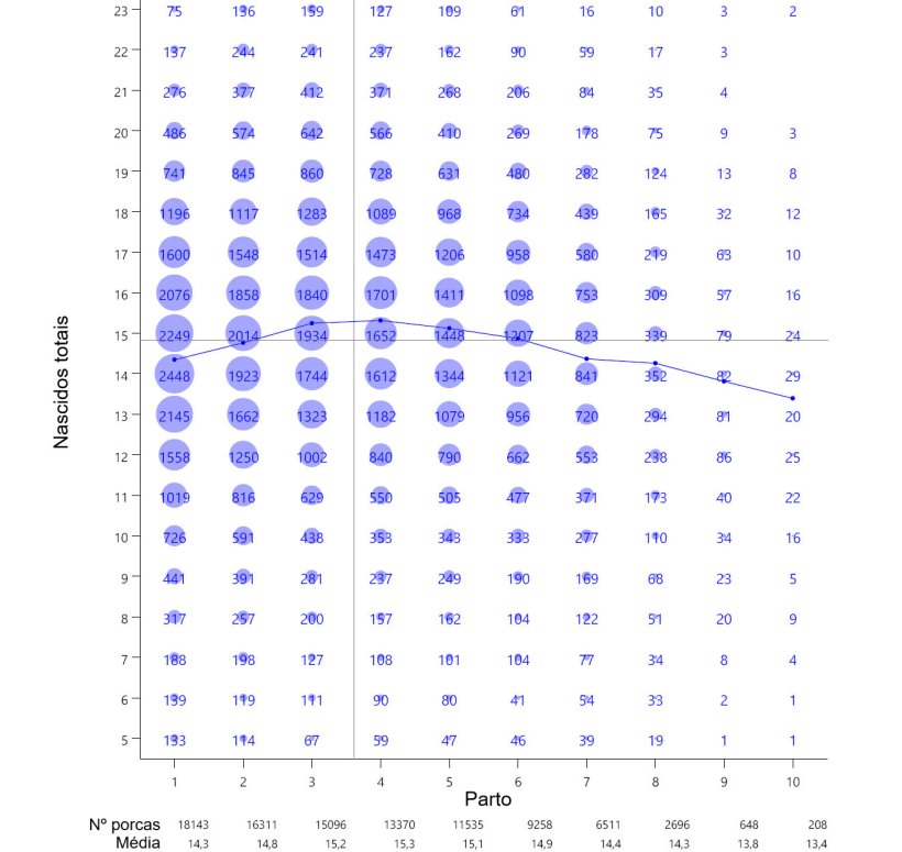 Gr&aacute;fico&nbsp;1: M&eacute;dia de leit&otilde;es nascidos totais por n&uacute;mero de parto a partir de 93.896 partos de porcas hiperprol&iacute;ficas que ocorreram entre Outubro de 2014 e&nbsp;Setembro de 2016
