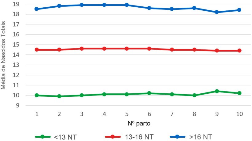 Gr&aacute;fico&nbsp;4: M&eacute;dia de leit&otilde;es nascidos totais (NT) segundo a ordem&nbsp;de parto para as ninhadas de menos de 13, entre 13 e&nbsp;16 ou mais de 16 leit&otilde;es nascidos totais. A an&aacute;lise&nbsp;baseia-se em&nbsp;93.896 partos de porcas&nbsp;hiperprol&iacute;ficas que ocorreram entre Outubro de 2014 e&nbsp;Setembro de 2016
