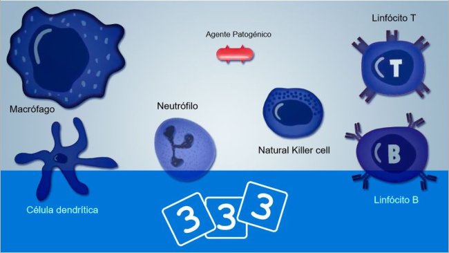 Descubra a imunologia na 3tres3