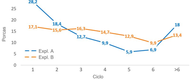 Gráfico 2. Estrutura censal por ciclo, a 31 de Dezembro de 2016