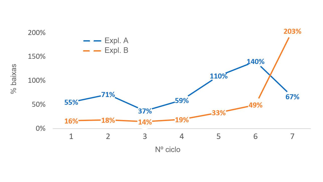 Gr&aacute;fico 1. Percentagem de porcas eliminadas por n&ordm; de ciclo (n&ordm; porcas eliminadas por ciclo/efectivo m&eacute;dio por ciclo) em 2016
