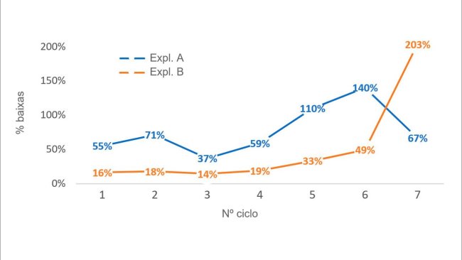Gráfico 1. Percentagem de porcas eliminadas por nº de ciclo (nº porcas eliminadas por ciclo/efectivo médio por ciclo) em 2016