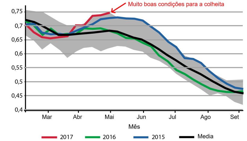Imagem&nbsp;2. Condi&ccedil;&otilde;es da colheita de milho no Brasil. Fonte: USDA
