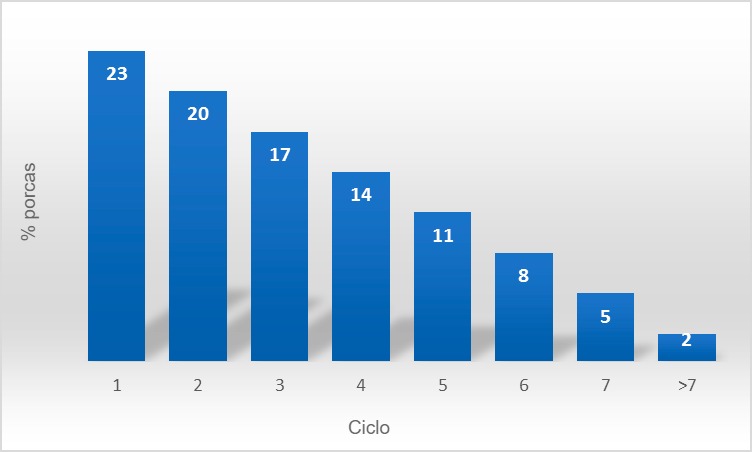 Figura 1. Estrutura do censo&nbsp;A
