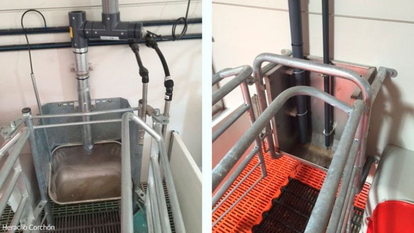 Os sistemas autom&aacute;ticos de alimenta&ccedil;&atilde;o na maternidade (quer seja em l&iacute;quido ou em seco) permitem estabelecer curvas de alimenta&ccedil;&atilde;o, poupando o trabalho de modificar diariamente os doseadores. Em ambos os casos &eacute; importante utilizar sondas que me&ccedil;am se a porca ingeriu o alimento fornecido ou n&atilde;o.
