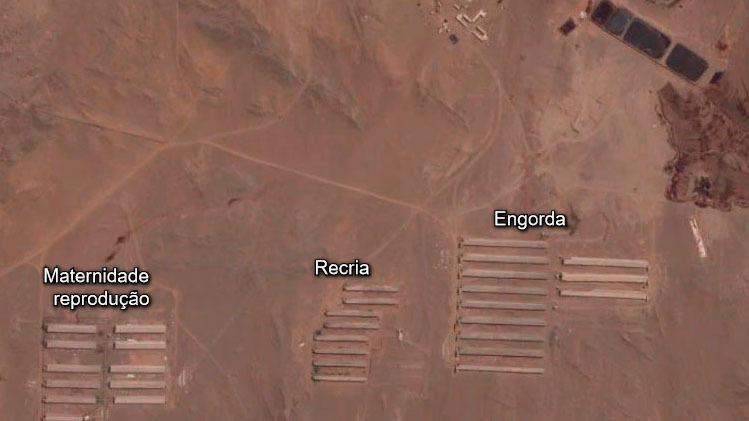 Foto 1. Distribuição da exploração.