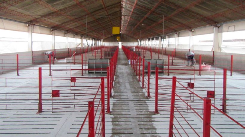 Foto 3. Limpeza e desinfecção de instalações.