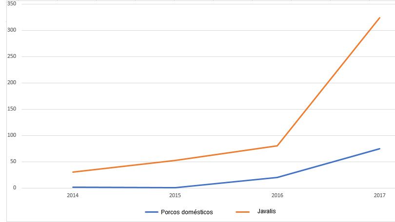 Evolução dos focos de PSA em porcos domésticos e javalis na Polónia.