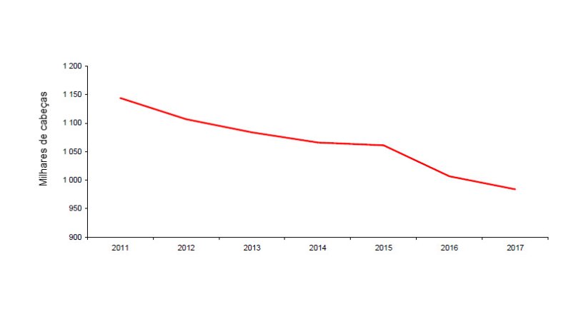 O efectivo de porcas est&aacute; em constante descida. Fonte: Agreste, declara&ccedil;&otilde;es de exist&ecirc;ncias
