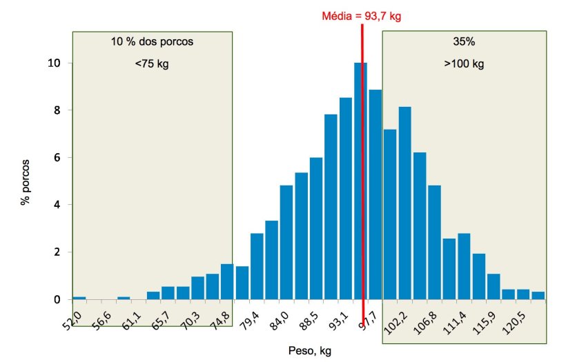 Figura 5. Distribuição de pesos no final da engorda. Cerca de 35% dos porcos pesam mais de 100 kg, enquanto 10% estão abaixo dos 75 kg.