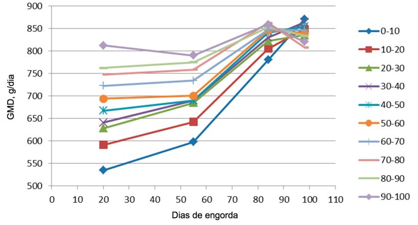 Figura 7. Evolução do GMD em função do peso de entrada (cada 10%). No final da engorda todos acabam tendo um GMD semelhante, embora os maiores alcancem o máximo muito mais cedo, pelo que têm menos dias de permanência.
