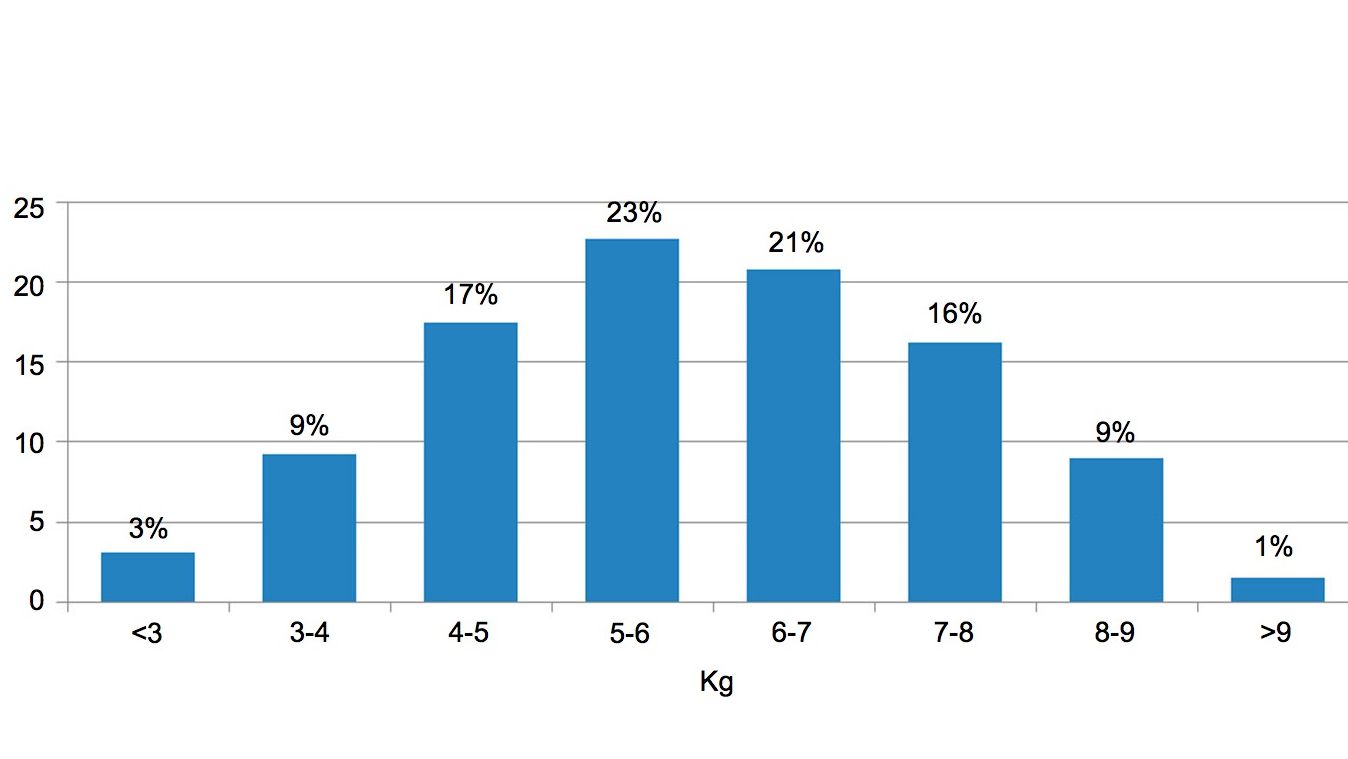 Figura 2. Distribui&ccedil;&atilde;o&nbsp;dos animais de acordo&nbsp;com o&nbsp;peso &agrave;&nbsp;entrada do&nbsp;desmame. A&nbsp;diferen&ccedil;a entre os&nbsp;5% de porcos com&nbsp;menos peso e os&nbsp;5% com maior&nbsp;peso &eacute;&nbsp;de 6kg.
