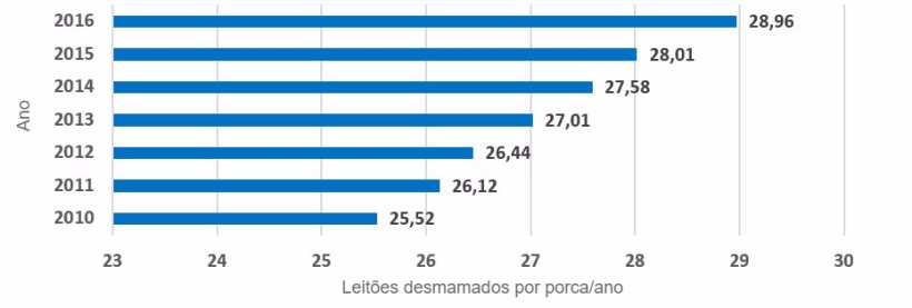 Gráfica 3.- Evolución media de lechones destetados por cada cerda productiva y año. El incremento de la producción ha sido de 0,49 lechones por cada cerda y año.