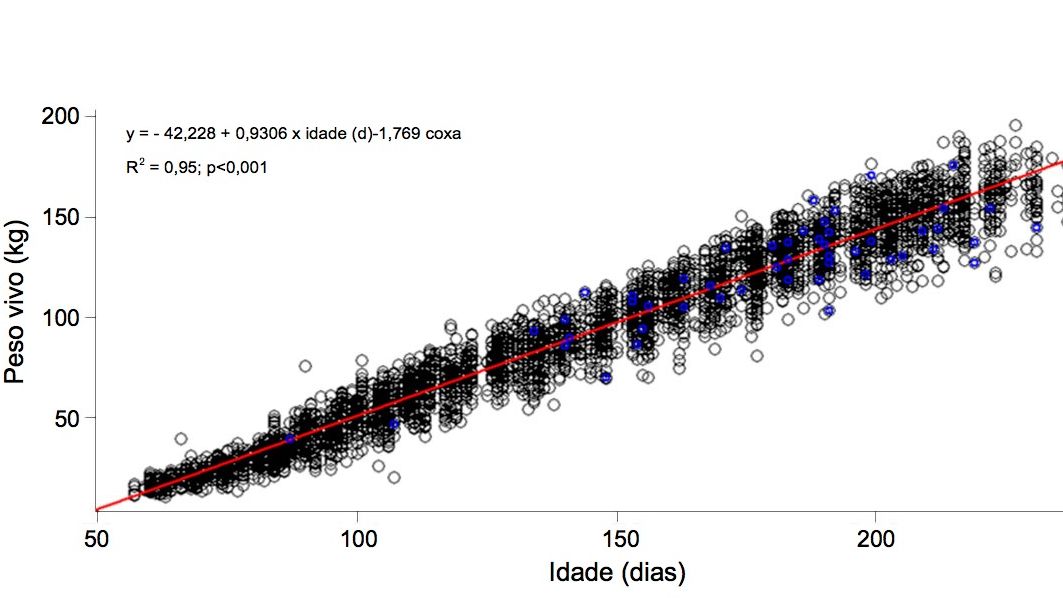 Gr&aacute;fico&nbsp;1. Evolu&ccedil;&atilde;o&nbsp;do&nbsp;peso vivo e&nbsp;a idade das nul&iacute;paras coxas (azul) e&nbsp;n&atilde;o coxas (negro)
