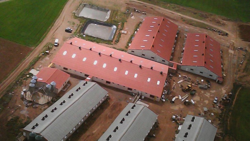 As grandes explorações, climatizadas e bem estruturadas permitem trabalhar com níveis mais altos de bem-estar animal e possibilitam aos produtores disfrutar de turnos de trabalho e férias às quais antes estavam vedados, mas determinados sectores sociais vêm-nas de maneira muito negativa.