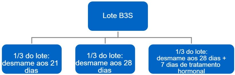 Figura 4. Processo de passagem de bandas a 3 semanas (B3S) para bandas semanais.
