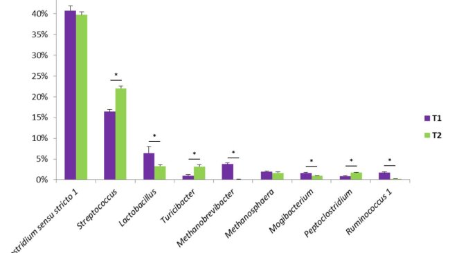 Figura 1. Alguns dos géneros bacterianos encontrados nas fezes de suínos. T1 é o grupo de controlo. T2 é um grupo tratado com uma mistura de Bacillus no alimento.