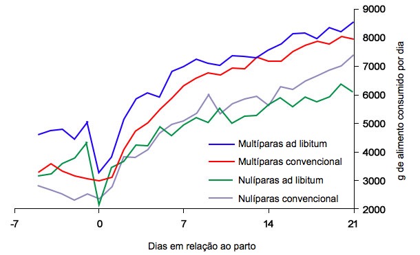 Gr&aacute;fico&nbsp;6. Consumo de alimento na lacta&ccedil;&atilde;o de porcas alimentadas ad libitum e/ou com um programa convencional no periparto
