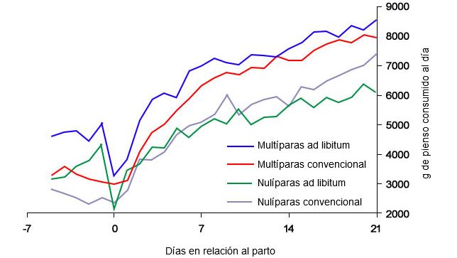Gr&aacute;fico&nbsp;6. Consumo de alimento na lacta&ccedil;&atilde;o de porcas alimentadas ad libitum e/ou com um programa convencional no periparto
